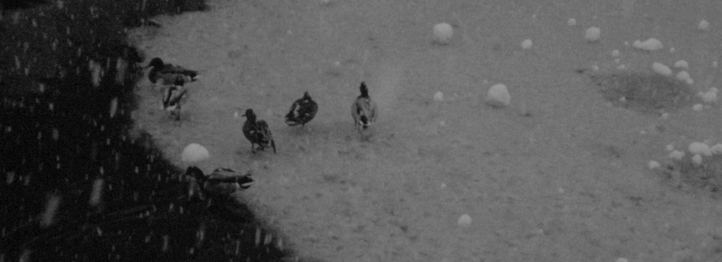 I Woke Up in the Morning — 16mm film of Boston and Texas